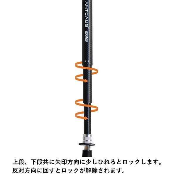 ANTCAUS Carbon Trekking Pole - Rimba – Rimba Online Store