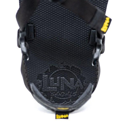  LUNA SANDALS  Middle Bear  Winged Edition